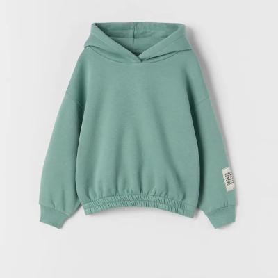 China Anti Wrinkle Cusotm Solf Cozy Anti-Wrinkle Shear Hoody Pullover Boys Kids Cozy Hoodie for sale