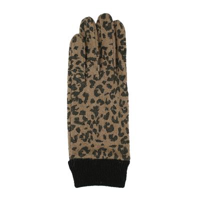 China Simple Fashion Leopard Pattern Cheap Knitted Women Woolen Gloves Wholesale for sale