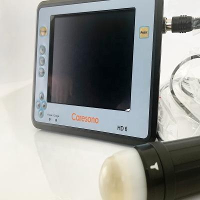 China China Cheapest Portable Pregnancy Diagnosis Ultrasound Machine For Veterinary Animal for sale