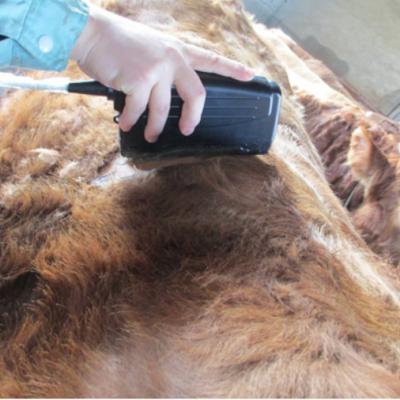 China Portable Animal Health Diagnosis Caresono Veterinary Ultrasound Probe For Bovine /farmers Equipment For Back Fat Test for sale