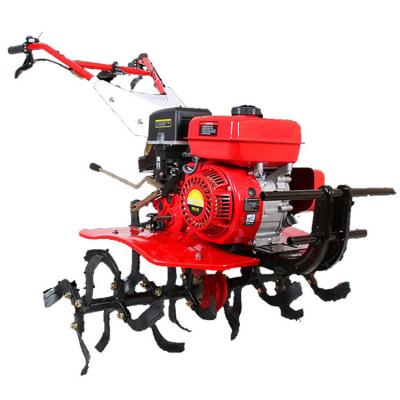 China Mini Hand Supplier Shandong Gasoline Power Cultivator Rototiller Cultivator Motocultivator Power Rear Tine Rotary Tiller for sale