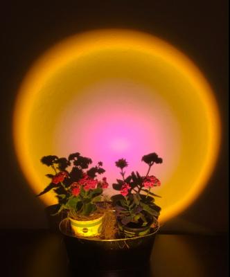 China Residential 16 Color Sunset Projection Lamp for sale