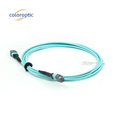 Κίνα Παθητικό οπτικό MTP Patch Cord Single Mode Cable 1M - 50M μήκος προς πώληση