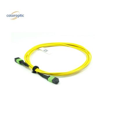 China OM3 MPO Patch Cord 12-Kern-Aqua-Fiber-Optische Verbindung für effiziente Vernetzung zu verkaufen