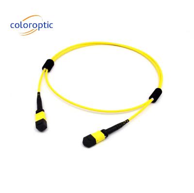 China Multi Mode fiber MTP MPO 16 FIBRE OM5 (50/125) PATCH CABLE for SR8 400G QSFP-DD and OSFP 400G SR8 PAM4 zu verkaufen