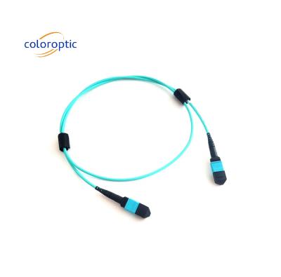 Cina MTP (MPO) 12 FIBRE PATCH CABLE OM3 (50/125) M400 Series US Conec in vendita