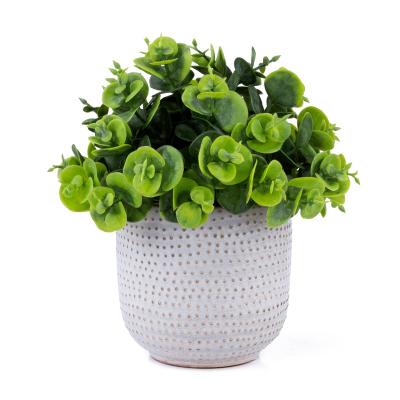 China Modern Artificial Plants Succulent Flowers with Ceramic Pot, Green Artificial Potted Plants for Office Table Decoration for sale