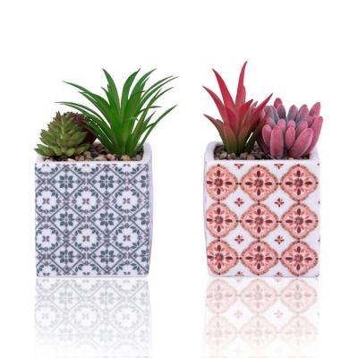 China Modern Plants 2 Pack Small Plants with Mini Artificial Succulent Plants Ceramic Pot for Home Decor for sale