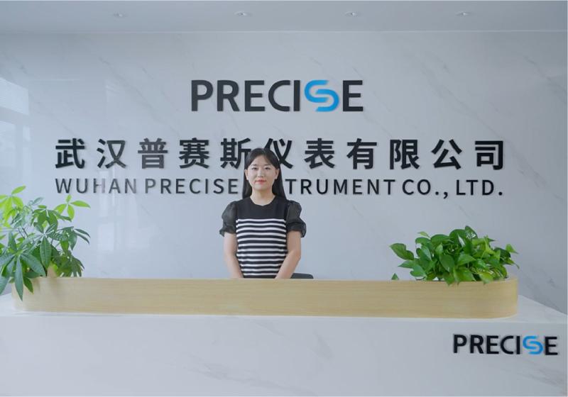 Verified China supplier - Wuhan Precise Instrument Co., Ltd.