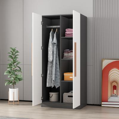 China Household Simple Fashion Double Door Wardrobe Bedroom Modern Hot Selling Lightweight Luxury Apartment for sale