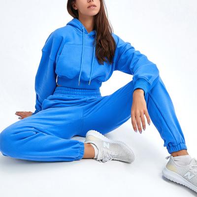 China Custom Casual Hoodie New Arrival Sweatshirt Pullover QUICK DRY 2 Piece Sweatpants Tracksuit Sets For Women for sale