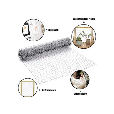 China Factory direct supply cheap price manufacture of plain weave for galvanized chicken cage china supplier for sale