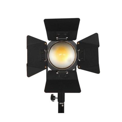 China Professional Studio Spot Light Attendance Led Stage Lights GL-NET60W for sale