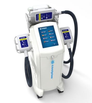 Chine la congélation scupting fraîche de graisse de cryolipolysis sincoheren le régime non chirurgical de liposuccion à vendre