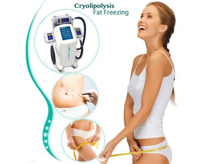 China el hielo que esculpe la congelación scupting fresca de la grasa del cryolipolysis de las grasas de cuerpo sincoheren adelgazar no quirúrgico del liposuction en venta