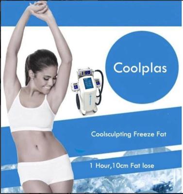 Chine la congélation scupting fraîche de graisse de cryolipolysis sincoheren la liposuccion non chirurgicale amincissant la machine à vendre