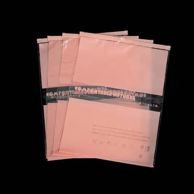 China BIODEGRADABLE Eco Friendly Zipper Resealable Clothing Packaging Frosted Plastic Ziplock Bag for sale