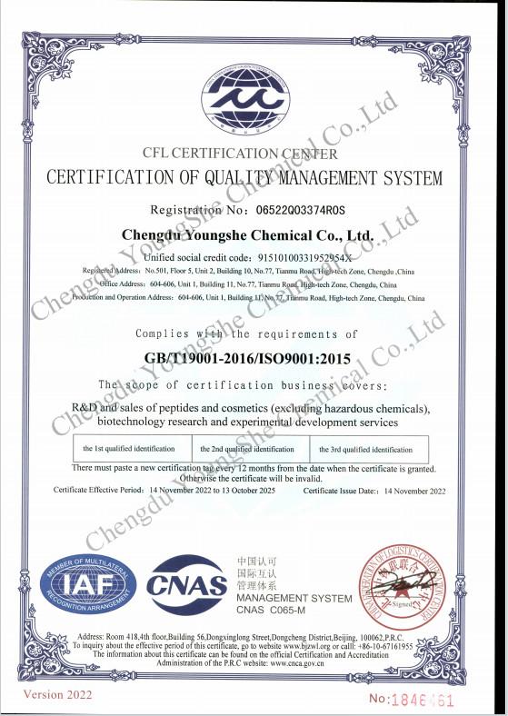 ISO9001 - Chengdu YoungShe Chemical Co.,Ltd