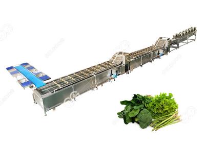 Chine CE Certified Stainless Steel Commercial Vegetable Washer Washing Line Vegetable Processing Plant à vendre