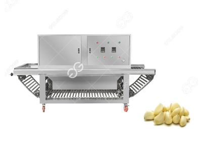 Cina 380V CE Certified Commercial Garlic Skin Remover Machine Garlic Peeling Machine For Sale in vendita