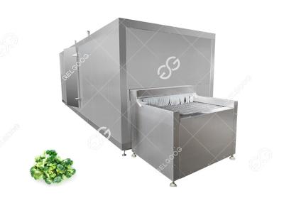 中国 Hot Sale Automatic Frozen Broccoli And Cauliflower Processing Line Fruit And Vegetable Processing Line 販売のため