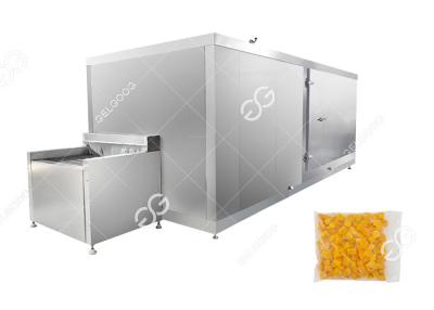 中国 Factory Price Frozen Mango Production Line Fruit And Vegetable Processing Industry 販売のため