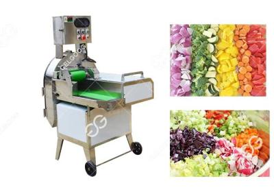 China Multifunctionele Plantaardige Snijmachine 0-60 Mm met Omzetting Met dubbele frekwentie Te koop