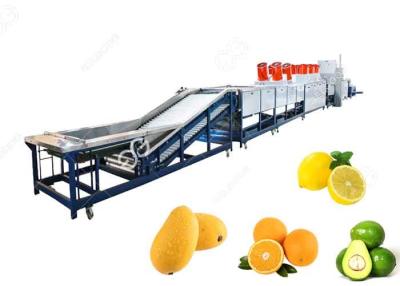 China Orange Washing Waxing Drying And Grading Machine Fruit Cleaning And Waxing Machine for sale