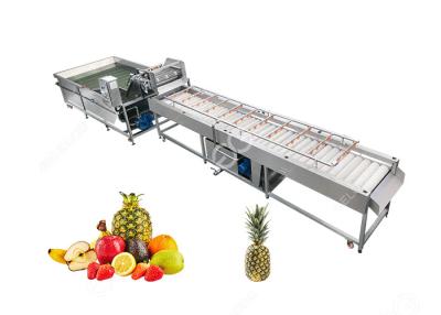 Cina Lavorazione della frutta di pulizia della macchina del grande ananas dell'uscita Equipment2T/H in vendita