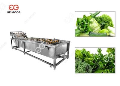 China 300-5000KG/H Leafy Vegetable Washing Machine Green Leaves Washing Machine for sale