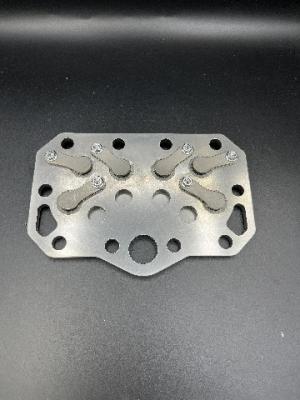 China Bizel Series Valve Discs And Plates Customized Compressor Valve Plate à venda