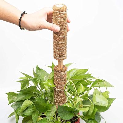 China Light Weight 30cm Free Sample 12Inc Plants Up In Plant Support Running Sticks Totem Sticks Plant Support Growing Water for sale