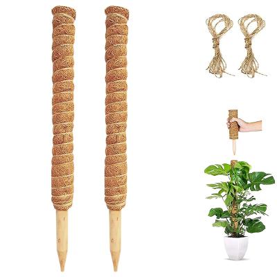 China Light Weight 30cm Free Sample 12Inc Plants Up Use In Plant Support Sticks Running Totem Cocos Coir Moss Poles Coconut Palm Stick For Grow for sale