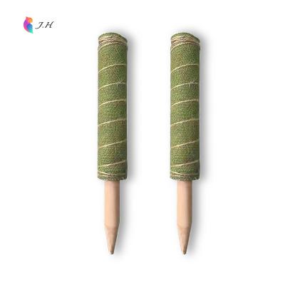 China Lightweight Christmas 2021 Holiday Set 40cm Free Sample 16Inch Support Plants For Growing Use Coconut Moss Poles Upright Poles for sale