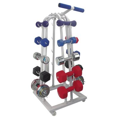 China 50x50MM Tube Dumbbell Rack Mobile Weight Lifting Equipment Rack Loaded 20 Pcs Dumbbell for sale