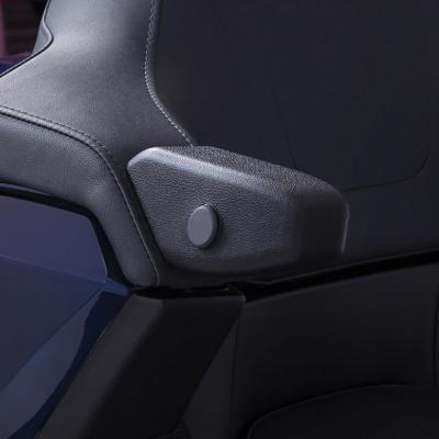 China Motorcycle Passenger Armrest Passenger Armrest Both Sides Behind For HONDA GOLD TOUR WING1800 GL1800 DCT 2018-2020 Motorcycle for sale