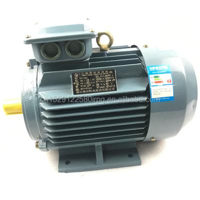 China Y2 Series High Efficiency Totally Enclosed Three Phase Asynchronous Motor 4 Kw for sale