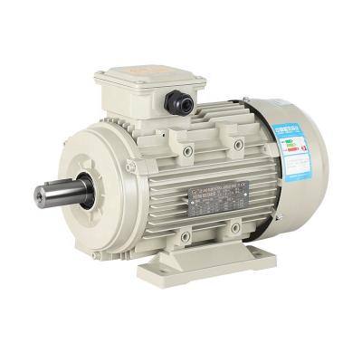 China 0.75kw 2HP Small Drip Proof Power 380v Ys All Copper Three Phase Asynchronous Induction Motor for sale