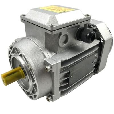 China YL/MLseries motor technology explosion-proof parameters for sale