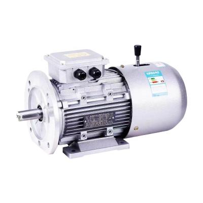 China 1400 RPM Electric Motor Brake Drip Proof Three Phase Motor YEJ-802-4 0.75KW for sale