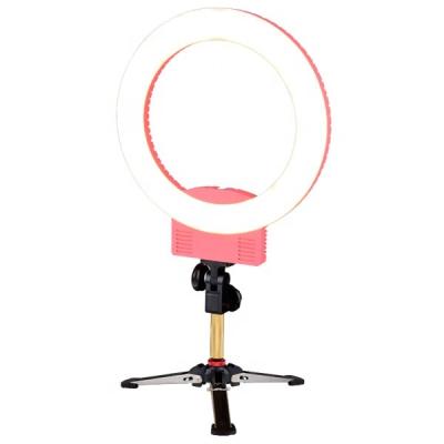 China Live Phone/Selfie Salon/Beauty/Make Up 12 Inch 240pcs LED 36w Photo Ring Lamp Wick Circular Beauty Lamp Make Up Video Studio Professional Selfie Ring Light for sale