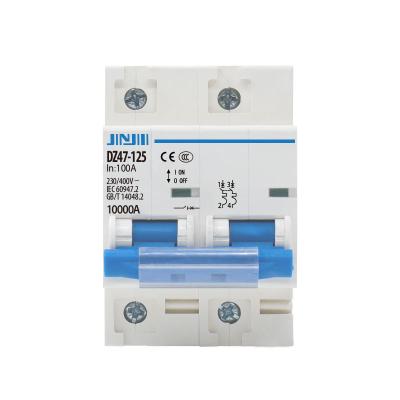 China Plastic Silver Copper DZ47-125 2P 63A-125A Mini Circuit Breaker Wholesale Price High Standard MCB 400V AC For Solar PV System And Home Use for sale