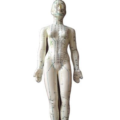 China Easy Female Acupuncture Model 26cm for sale