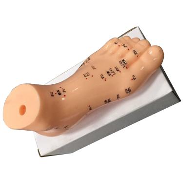 China High Quality Eco-friendly Chinese Acupuncture Human Body Model 13cm Acupuncture Foot Model for sale