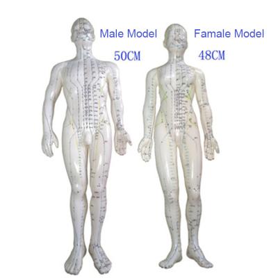 China High Quality Eco-friendly Body Acupuncture Model Soft Flexible Famale Model 48cm Acupuncture Point Model for sale