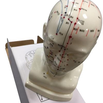 China High Quality Eco-friendly Head Acupuncture Model Medical Use Acupuncture Model for sale