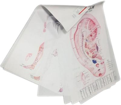 China Comfortable Medical Chinese Acupuncture Charts Points Back Side (front, side,) for sale