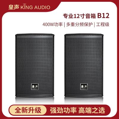 China KingAudio/Huang Sheng B12/T12 Professional Bar Stage Bar 12 Inch KTV Audio Speaker B12 Pair Of Speaker for sale