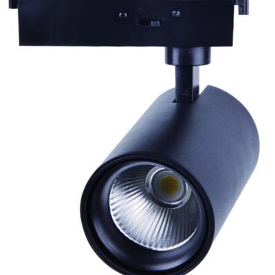 China 2700k 3000k 6500k Modern Commercial Adjustable Shop Spot Museum 3cct 20w 30w Cob Led Track Light for sale