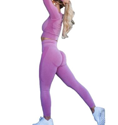 China Common Wear Gym Fitness Women Clothing Tights Women Breathable Active Gaiters Tight Sporting Gaiters for sale